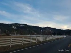 20190326_183343_HDR